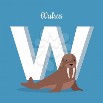 Walrus cow on ice floe with letter W isolated on blue. Large flippered marine mammal distributed about North Pole in Arctic Ocean. Part of alphabetic series with animals. ABC, alphabet. Vector