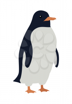 Penguins isolated on white. Aquatic, flightless bird living in Southern Hemisphere, in Antarctica. Has countershaded dark and white plumage, wings evolved into flippers. Sticker for children. Vector