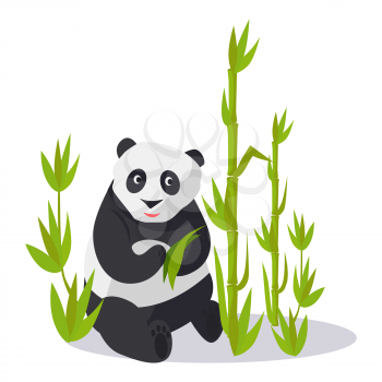 Panda sitting between young bamboo sticks holds green leaves. Vector illustration of isolated oriental white-black animal on white. Asian bear on glade with many greenish high bamboo plants.