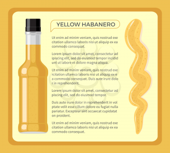Yellow habanero spicy sauce in transparent bottle near written information and sample of such ingredient on light background with yellow frame. Poster of oriental dressing for making food tasty