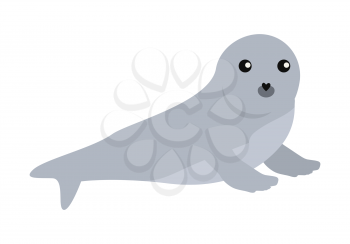 Earless seal flat style vector. Wild predatory animal. Northern fauna species. Cute baby of sea calf cartoon on white background. For nature concepts, children s books illustrating, printing materials
