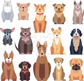Different kinds of dog breeds on white. Distinguished by size, form of head, tails and noses, muzzles, jaws and ears. Happy and friendly dogs presented in cartoon style on vector illustration.