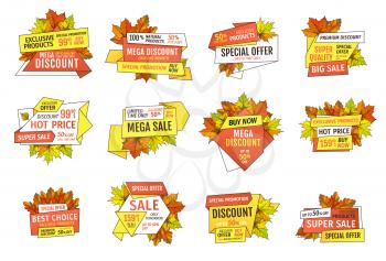 Discounts on Thanksgiving day, exclusive offer buy now labels with maple and oak tree leaves. Vector autumn sale tags yellow foliage isolated emblems