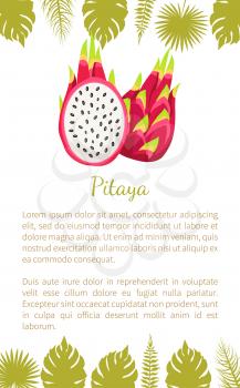 Pitaya or pitahaya exotic juicy fruit vector poster with text sample and palm leaves. Tropical edible food, subtropical dragon fruits whole and cut sign