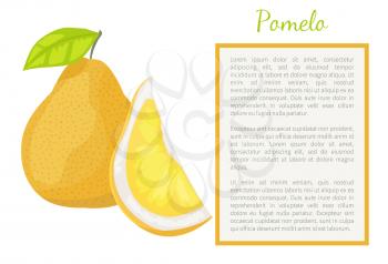 Pomelo exotic fruit whole and cut vector poster frame for text. Tropical food, similar to grapefruit or pear, dieting vegetarian citrus with leaf