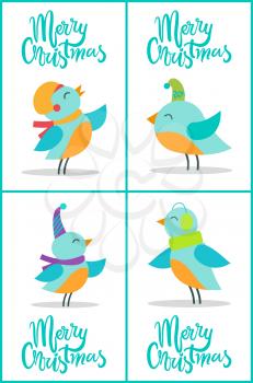 Merry Christmas, birds set with different color of their feathers, traditional representation of object with calligraphic headline vector illustration