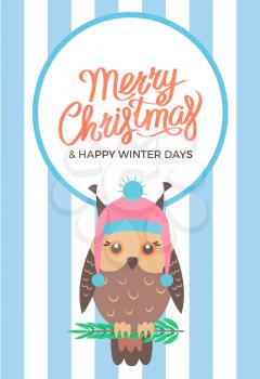 Merry Christmas and happy winter days, poster of owl sitting on branch of pine and wearing hat vector illustration isolated on striped background