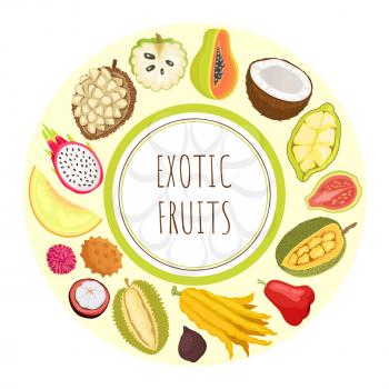 Exotic fruits durian and sugar apple vector. Guava and citron, lychee and rambutan, marang and pitaya, coconut and cupuacu organic food tropical meal