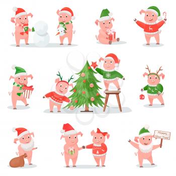 Pig in Christmas hat symbol of New Year 2019. Piglets decorate spruce, exchange gifts, build snowman or dressed like Santa Claus vector illustrations.