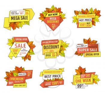 Special offer sale fifty percent discount set of labels isolated. Promo price 159.90 advertisement autumn label with orange and yellow leaves emblems