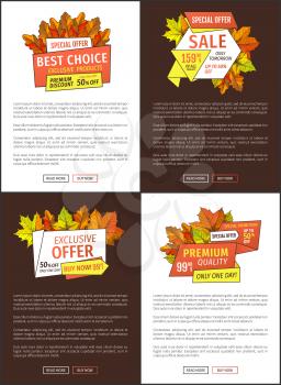 Limited time only buy now discount promo coupons, text. Autumn or fall, half price advertising online poster foliage and green and orange leaves vector