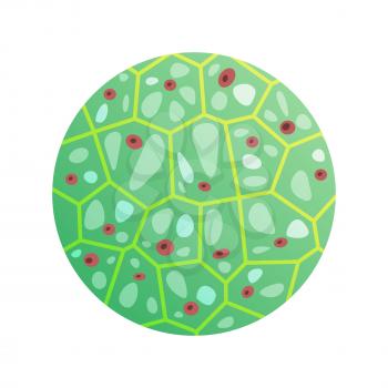 Round green cell with microorganisms vector illustration in biology and microbiology concepts. Icon of molecular jointment under microscope