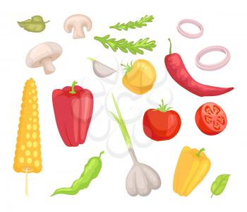 Vegetables veggies isolated icons set vector. Herbs and leaves mushroom pepper paprika and corn. Tomatoes garlic and onion rings vegs and greenery