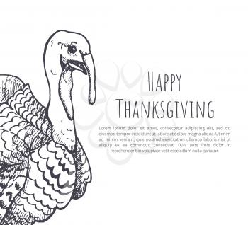 Happy Thanksgiving day, holiday monochrome sketches outline on poster with text sample vector. Turkey symbol of holiday, uncooked animal with feathers