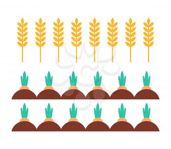 Carrot and wheat field farming plants growing in ground. Wheaten crops grain used to make bakery products. Vegetable with leaves isolated on vector