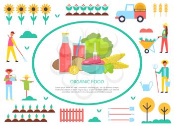 Organic food farm products and working people. Agriculture harvesting season farms and transport icons. Cabbage, bottle and bread, corn sunflower vector
