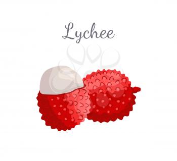 Lychee exotic juicy fruit whole and cut vector isolated. Litchi liechee, liche and lizhi, li zhi, or lichee tropical edible food, dieting vegetable