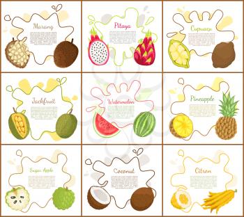Marang and jackfruit, posters with information on blot. Rambutan and watermelon, pineapple and citron, sugar apple and cupuacu lush slice vector