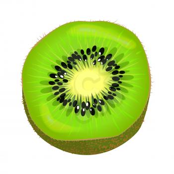 Fresh kiwi fruit half isolated on white. Vector illustration of kiwi part colorful element with brown skin, green color inside with little black seeds and light center. Succulent isolated fresh kiwi