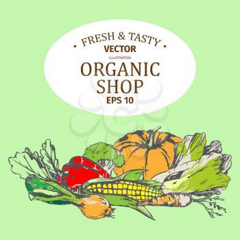 Shop with organic farm products collection on green background. Vector colorful poster with ecological fresh and tasty vegetables.