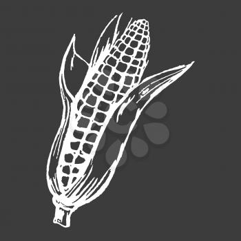 Tasty ripe corn cob with leaves isolated white outline on black background. Healthy organic cereal plant grown at farm vector illustration.