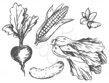 Colorless vegetables at random isolated on white vector poster in graphic design. Seasonal agricultural harvest plants growing on land