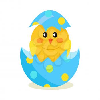 Colorful fluffy spring yellow newborn chick hatched from shell isolated on white background. Mascots of Easter celebration, chicken as symbols of new life vector illustration. Friendly feast animals