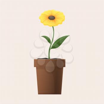 Yellow flower with leaves in pot isolated on beige background. Indoor plant for house decoration and as leisure activity of home gardening vector illustration. Natural interior element for coziness.
