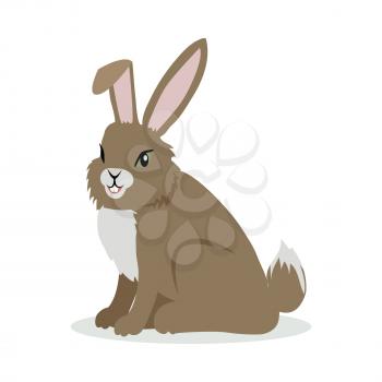 Hare or rabbit cartoon character. Brown hare flat vector isolated on white. North America and Eurasia fauna. Rabbit icon. Animal illustration for zoo ad, nature concept, children book illustrating