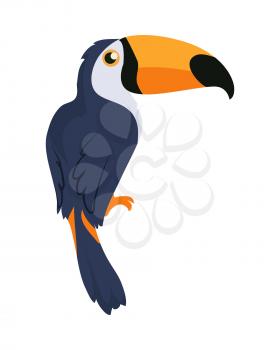 Toucan bird cartoon character. Cute toucan flat vector isolated on white. South America fauna. Guinea pig icon. Wild animal illustration for zoo ad, nature concept, children book illustrating