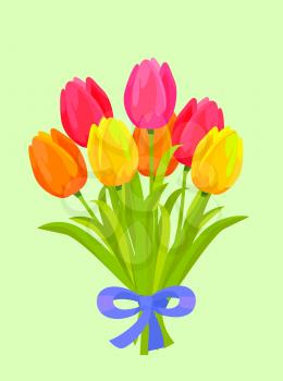 Big bouquet of colorful tulips. Yellow, orange, red and pink tulips bounded with blue ribbon flat vector. Spring flowers illustration with scented posy for romantic gift concepts, greeting cards
