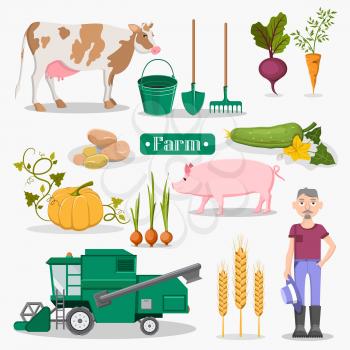 Farm vegetables, healthy livestock, convenient equipment, last model combine-harvester, golden spikes and old farmer set of vector illustrations.