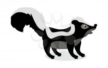 Skunk cartoon character. Cute Skunk  flat vector isolated on white background. North America and Eurasia fauna. Skunk icon. Animal illustration for zoo ad, nature concept, children book illustrating