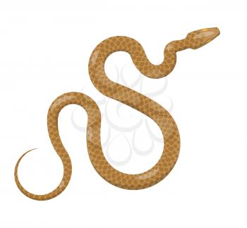 Curved slither python top view icon. Creeping glossy brown tropical snake with yellow eves vector isolated on white background. Crawling poisonous reptile illustration for wild nature concepts, zoo ad