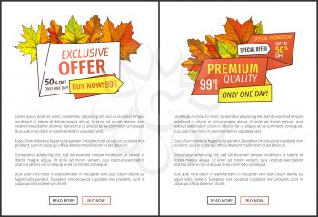 Limited time only buy now discount promo coupons with text. Autumn or fall, half price advertising online poster foliage and green and orange leaf vector.