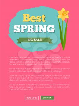 Best spring sale promo poster with yellow daffodil flower on label with brush stroke. Website or webpage template, advertisement leaflet with springtime blossom