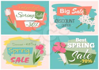 Sale, discount and best offer, label with rose, lilac and violet, daisy bouquet. Advertisement decorated by flowers, greeting for ladies vector. Early spring and summer flower for wedding