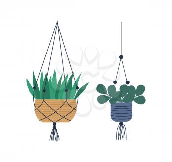 Hanging pots with fishnet vector, special containers with soil for plants. Houseplants isolated set, flora floral variety, foliage and leaves of flowers