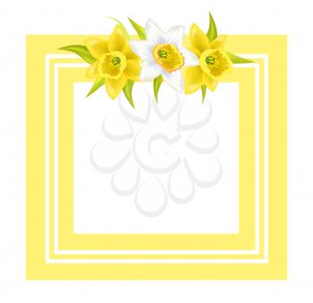 Decorative frame for photo or text with spring flowers daffodil narcissus plant, flowers with white or pale outer petals vector illustration greeting card