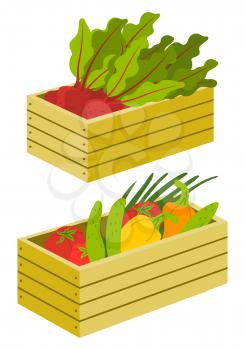 Vegetables in crate, beet and cucumber, tomato and onion, bell pepper. Rustic vegetarian products in wooden case, crop in container, ingredient vector. Flat cartoon
