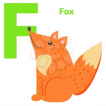 New babies alphabet with letter F Fox flat design on white background. Red cartoon animal teaches basics of reading. Vector illustration of preschool education color funny card graphic style.