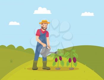 Farming man with watering can vector. Farmer growing vegetables and taking care of eggplant plantation. Hill field with greenery and clouds above