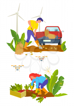 Agricultural workers planting beet and potato, vegetables in bag and box. Man and woman gardeners, car and windmill, quadcopter equipments, farm vector
