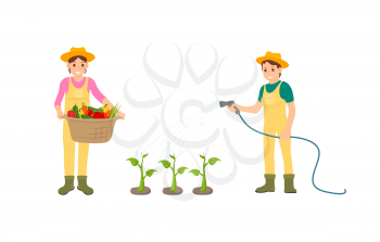 Woman and watering hose isolated icons set. Basket with carrots lettuce, peppers harvested vegetables. Growing plants and veggies on plantation vector