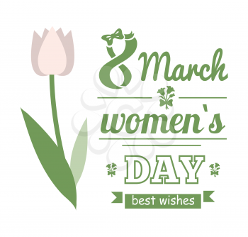 Spring holiday womens day greeting postcard with white tulip. Best wishes papercard with flat blossom, international holiday, natural decoration vector. 8 March