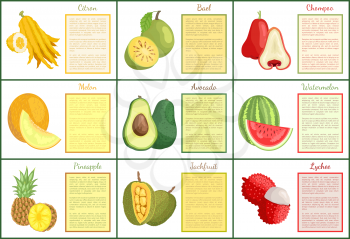 Citron and chompoo posters set with text sample vector. Durian lychee and jackfruit, pineapple and avocado, watermelon and melon bael. Tropical fruits