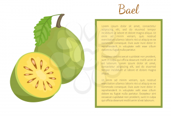 Bael exotic juicy fruit whole and cut vector poster frame for text. Aegle marmelos, Bengal quince, golden stone wood apple, topical edible food