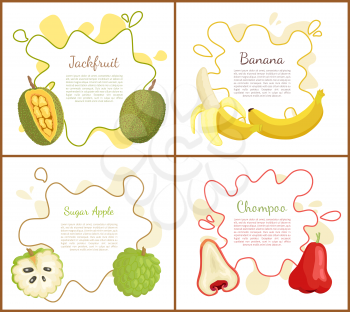 Jackfruit and sugar apple, ripe yellow banana and chompoo, posters set with text sample on blot. Natural fresh tropical fruit, exotic meal vector
