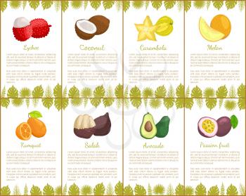 Lychee coconut and carambola tropical exotic fruits vector. Kumquat and salak, avocado and melon, organic products healthy assortment poster with text
