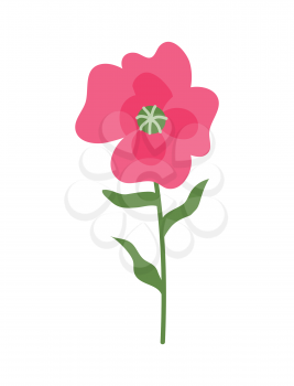 Flower of pink color vector, isolated icon, botanical decoration for special day. Present for girl or woman, decoration, floral with leaves and blooming